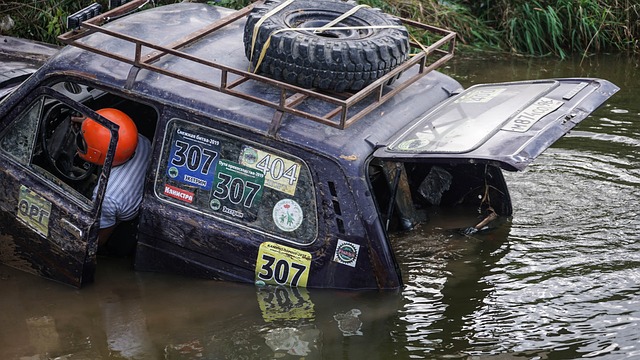 勇士的未来 勇士的未来