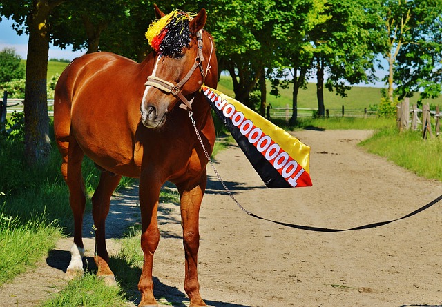 [德甲]第21轮：沃尔夫斯堡0-0勒沃库森 集锦.